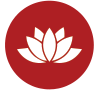 Wellness Consultation